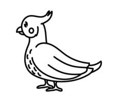 A black and white drawing of a bird vector