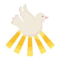 A white dove with rays of light around it vector