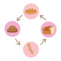 The cycle of bread and wheat vector