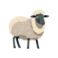 Sheep cartoon illustration isolated on white background vector