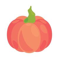 Pumpkin icon in flat style on white background vector