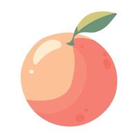 An orange is shown on a white background vector