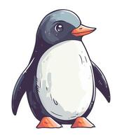 A cartoon penguin standing on a white background vector