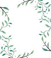A frame with green leaves and branches on a white background vector