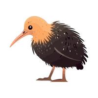 A kiwi bird with a long beak and long legs vector