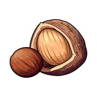 A nut and a nut shell on a white background vector