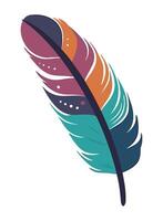 A colorful feather on a white background vector