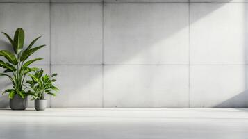 Isolated plain concrete wall background on a white gradient backdrop light gray tones with a smooth even texture suitable for design mockups photo