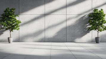 Wide shot of a plain concrete wall with soft shadows flat surface in neutral gray tones perfect for backgrounds in digital and print designs photo