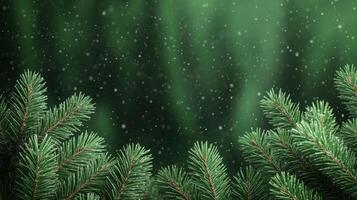 Dark forest green background with soft pine needle texture accented by a light dusting of snow Christmas cozy and nature inspired atmosphere elegant and wintry photo