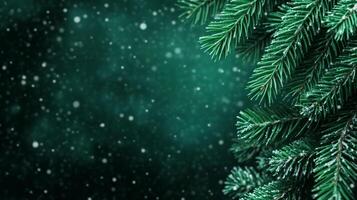 Dark forest green background with soft pine needle texture accented by a light dusting of snow Christmas cozy and nature inspired atmosphere elegant and wintry photo