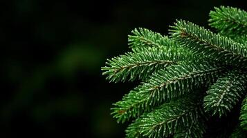 Dark forest green background with soft pine needle texture accented by a light dusting of snow Christmas cozy and nature inspired atmosphere elegant and wintry photo