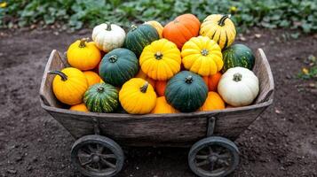 A rustic wheelbarrow filled with colorful squash, epitomizing the diverse produce of harvest season photo