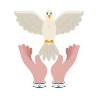 Two hands holding a dove in front of a white background vector