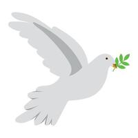 A white dove with an olive branch in its beak vector