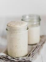 Wheat sourdough starter different hydration levels photo