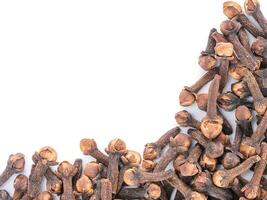 Cloves spice on white background with copy space. Isolated one edge. Top view or flat lay. photo