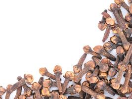 Cloves spice on white background with copy space. Isolated one edge. Top view or flat lay. photo
