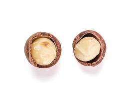 two macadamia nuts with open shells isolated photo