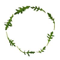 Pattern from arugula in round frame isolated photo