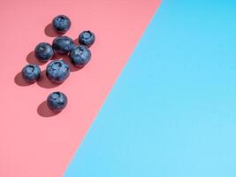 Blueberry on pink and blue background, copy space photo