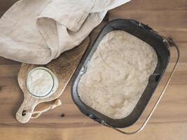 Wheat sourdough starter, top view, copy space photo