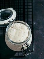 Wheat sourdough starter, copy space photo