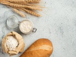Baking ingredients with sourdough starter photo