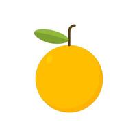 Ripe orange Fruit isolated on white vector