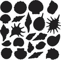 A collection of seashell shapes for artwork compositions vector