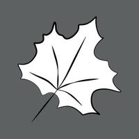 Caricature style Maple Leaf. Outline Black and White Botany element isolated on Grey Background. Autumn Fallen Leaves concept illustration in Linear art Style for Card, Coloring Book, Design vector