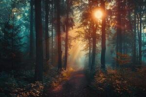 Sun shining through trees on foggy path in forest photo