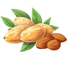 Almonds with leaves and nuts on a transparency background png