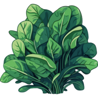 A bunch of spinach on a transparency background png