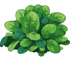 A bunch of green spinach on a transparency background png
