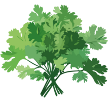 Bunch of green leaves on a transparent background png