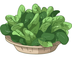 A basket of spinach is shown in this illustration png