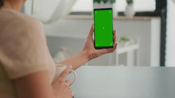 Business woman browsing on internet using mock up green screen chroma key smartphone sitting at office desk. Freelancer swiping online information for social media project using isolated device video
