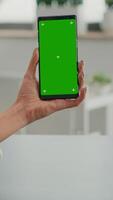 Vertical . Business woman browsing on internet using mock up green screen chroma key smartphone sitting at office desk. Freelancer swiping online information for social media project using isolated device video