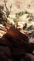 View from inside a dark cave with green plants and light on the exit video