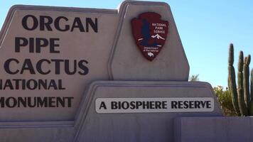 ARIZONA, USA - NOVEMBER 24, 2019- Syng Organ Pipe Cactus National -a biosphere reserve- Monument, Arizona, USA. video