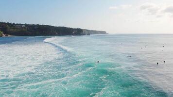 Bali coastline with ocean and perfect swell waves. Drone view of scenic seascape video