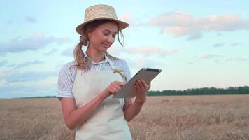 Happy agronomist using digital tablet and holding wheat plant on farm video