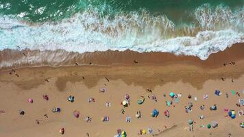Overhead shot of anonymous tourists and parasols on seashore at beach video