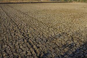 The texture of the dry soil breaks in the dry season in the afternoon photo
