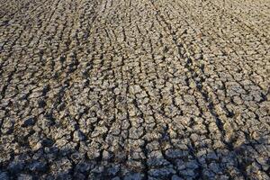 The texture of the dry soil breaks in the dry season in the afternoon photo