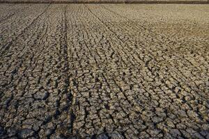 The texture of the dry soil breaks in the dry season in the afternoon photo