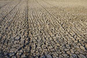 The texture of the dry soil breaks in the dry season in the afternoon photo