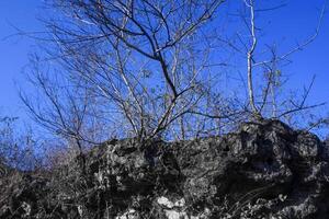 Photo of mountain rock texture suitable for background