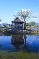 Trees and huts on the edge of the pond embankment that reflect shadows photo